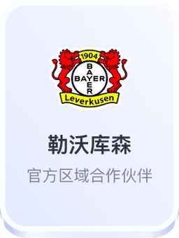 开云体育与勒沃库森足球俱乐部合作